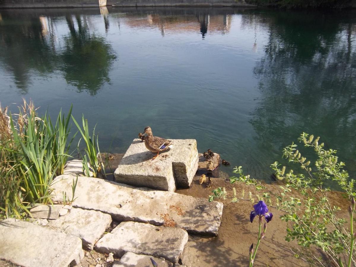 Mas Le Pont Des Aubes Bed & Breakfast L'Isle-sur-la-Sorgue Exterior photo